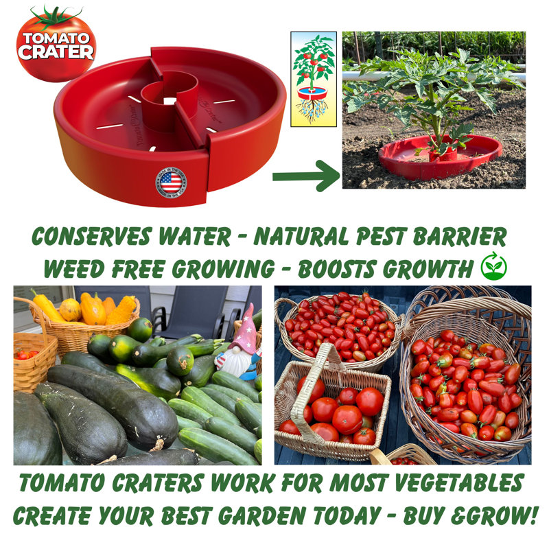 Arlmont & Co. Tomato Crater Gardening Tool, 3 Pack - 12” Red